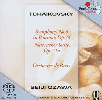 THE TCHAIKOVSKY PROJECT 7CDセット THE TCHAIKOVSKY PROJECT 7CDセット